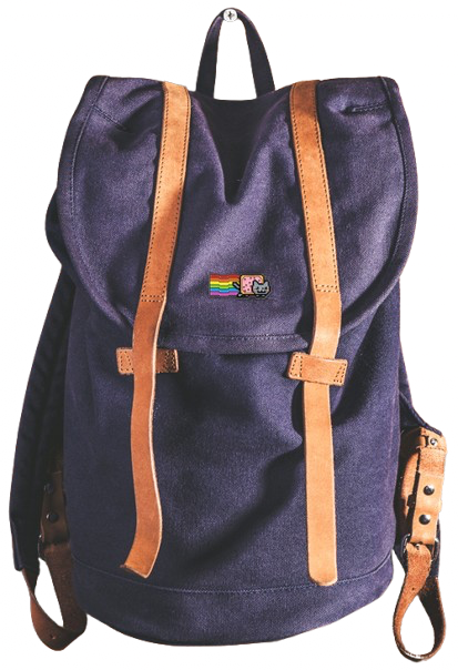 nyan cat pin